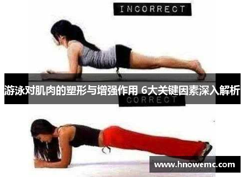 游泳对肌肉的塑形与增强作用 6大关键因素深入解析